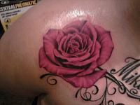 Click image for larger version. 

Name:	jessicas rose.jpg 
Views:	66 
Size:	60.7 KB 
ID:	5472