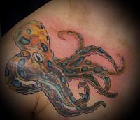 octopus f