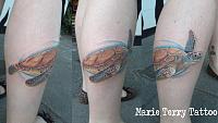 Sea Turtle Tattoo (big)
