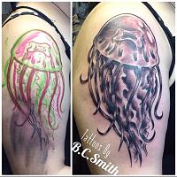 BC Jellyfish