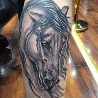 Click image for larger version. 

Name:	horse.jpg 
Views:	120 
Size:	57.0 KB 
ID:	14733