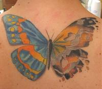 Click image for larger version. 

Name:	healed butterfly.jpg 
Views:	24 
Size:	83.4 KB 
ID:	922