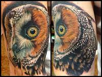 Click image for larger version. 

Name:	owl.jpg 
Views:	305 
Size:	39.9 KB 
ID:	13972