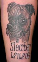 Sleater by Mr Taboo