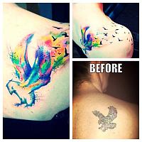 bird cover up