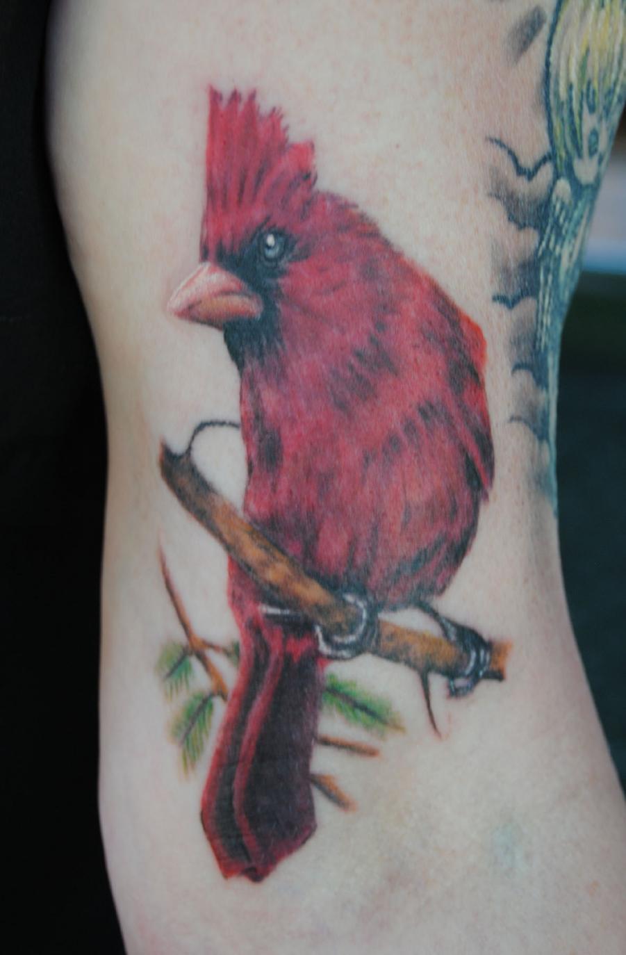 Cardinal tattoo by Jonathon Anderson (810)385 2222