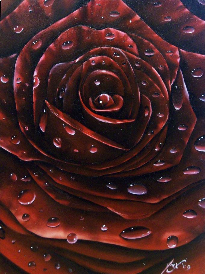 Cropped Rose by johnnyjinx