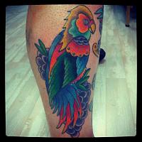Click image for larger version. 

Name:	Traditional Parrot.jpg 
Views:	31 
Size:	82.2 KB 
ID:	22631