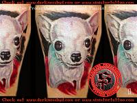 Color portrait tattoo of baby chihuahua